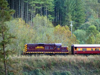 Great Smoky Mountain Railroad